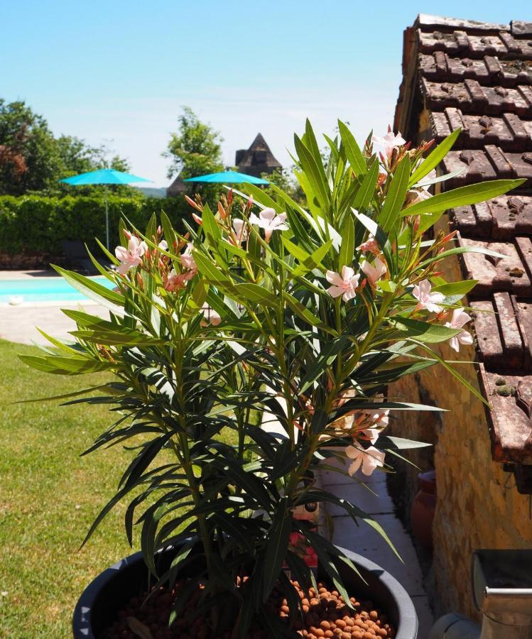 Le Clos De La Musardise - De Charme Avec Piscine Chauffee * Salignac Eyvigues